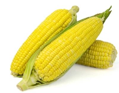Syngenta Seeds offers NK Corn Replant Calculator for better yield