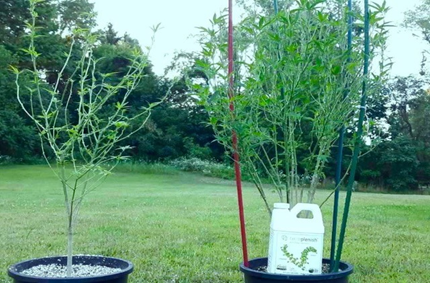 DUTV announces acquisition of Feed Earth Now