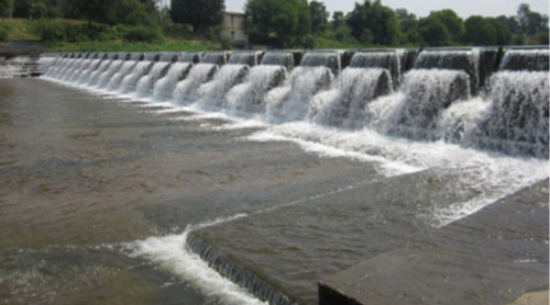 Singatalur Lift Irrigation Drip Scheme enables maize farmers to get higher yields