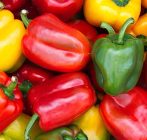 BioBee’s friendly predators protects Israel’s sweet pepper crops from harmful pests