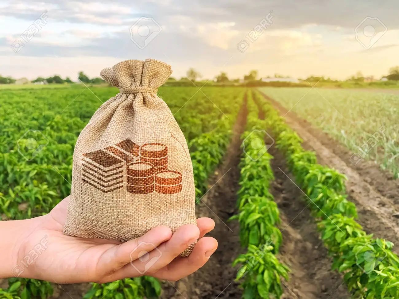 Vietnam’s Agri forestry and fishery export hits $49 Bn by November  