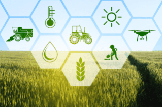 BASF builds crop protection manufacturing hub in Singapore