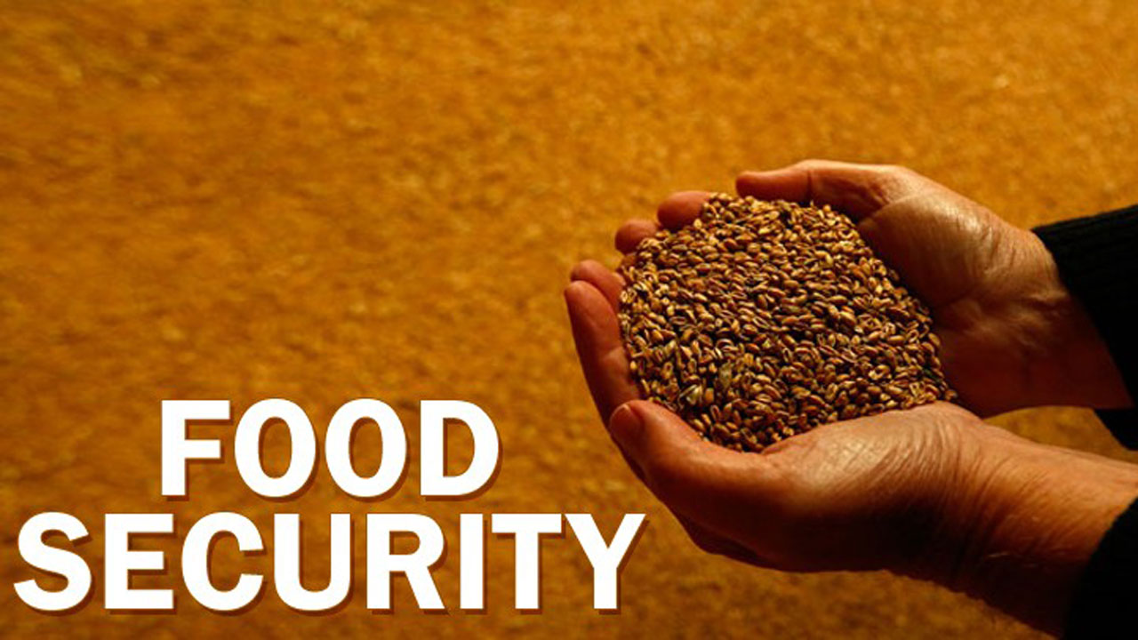 Centre amends export policy for wheat flour to ensure food security
