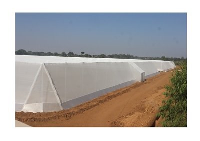 Brio Hydroponics, Israel-based PIC-Plast launch rain protection tech in India