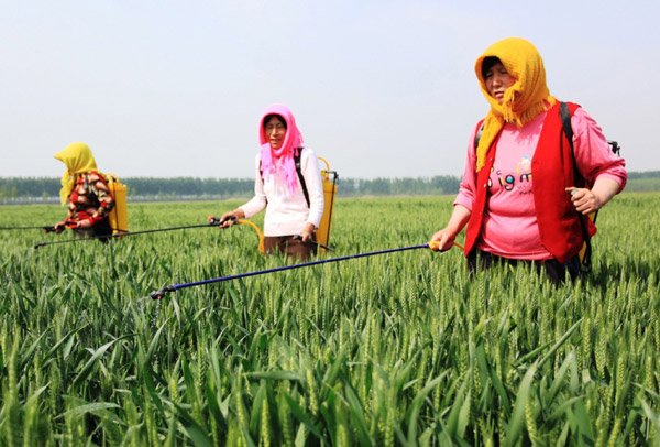 China’s Maxunitech acquires shares of Inner Mongolia Shijie Chemical
