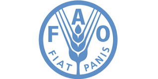 FAO, Singapore collaborates for climate-resilient agrifood systems