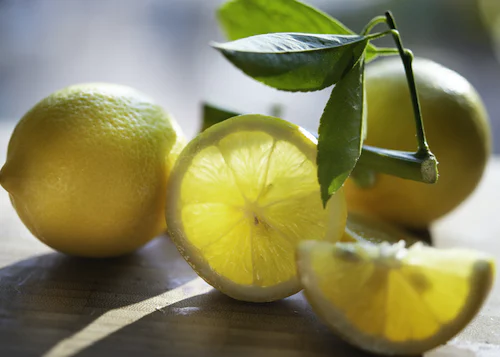 World Lemon Industry Development Conference Kicks Off in Anyue, China