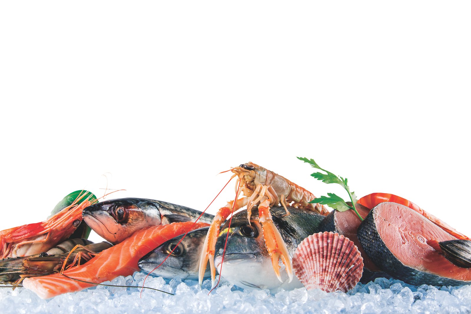 Travelling Art Pte Ltd fined $10,000 for importing food products illegally 