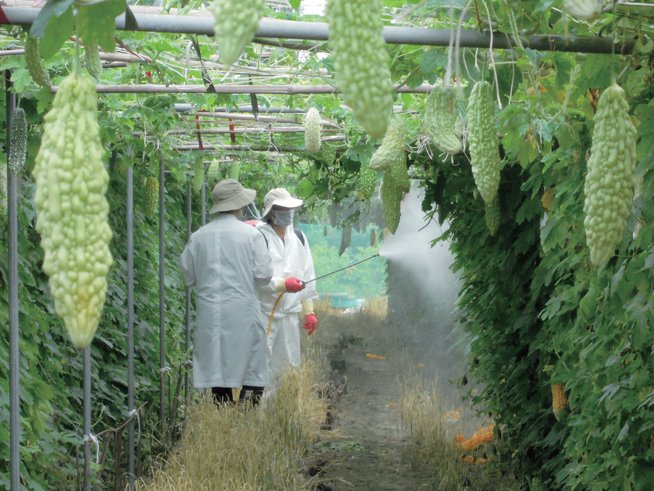 Taiwan develops toxin-free biopesticide