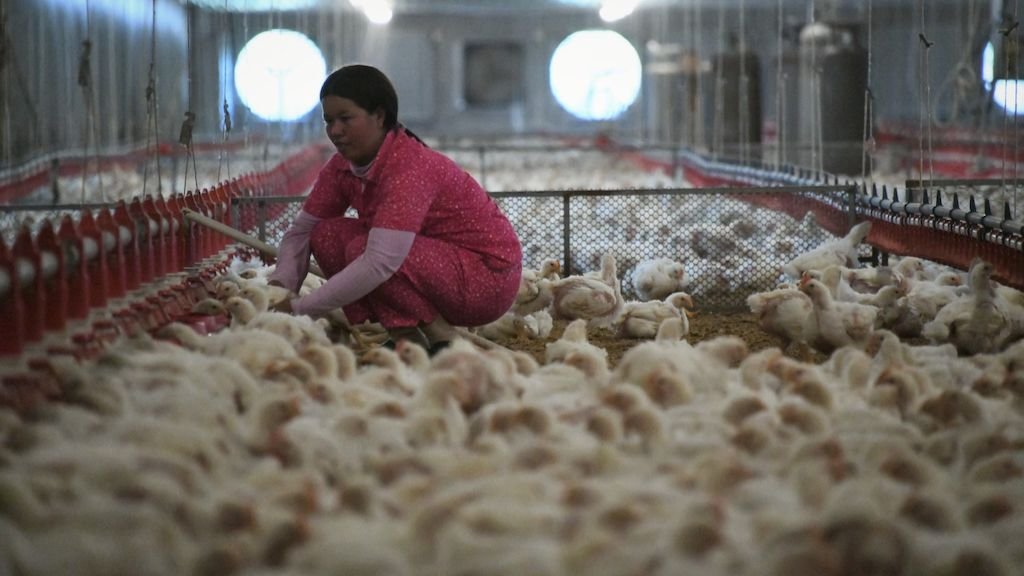 ADB approves $62.9 Mn package to Cambodia for Food Security