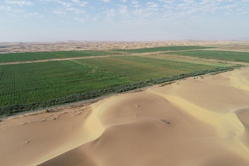 China, Arab States cooperation on water conservation in agriculture