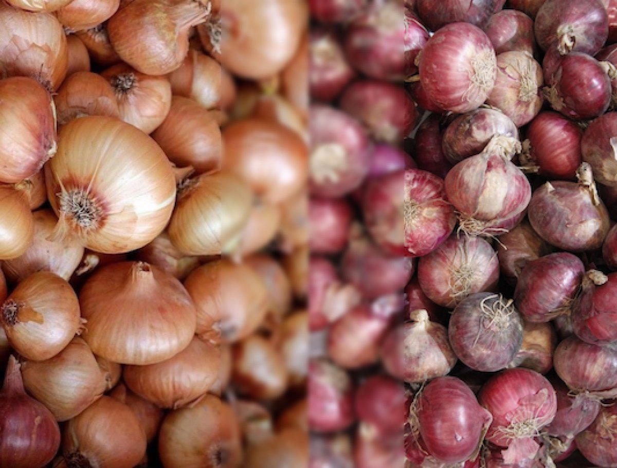Philippines to impose SRP on red onions to control price