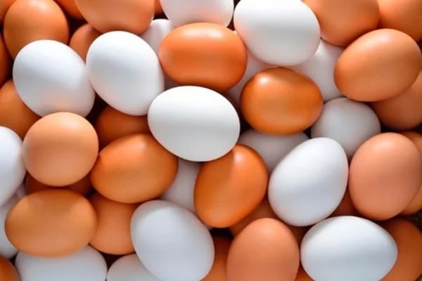 Singapore to import chicken eggs from Indonesia