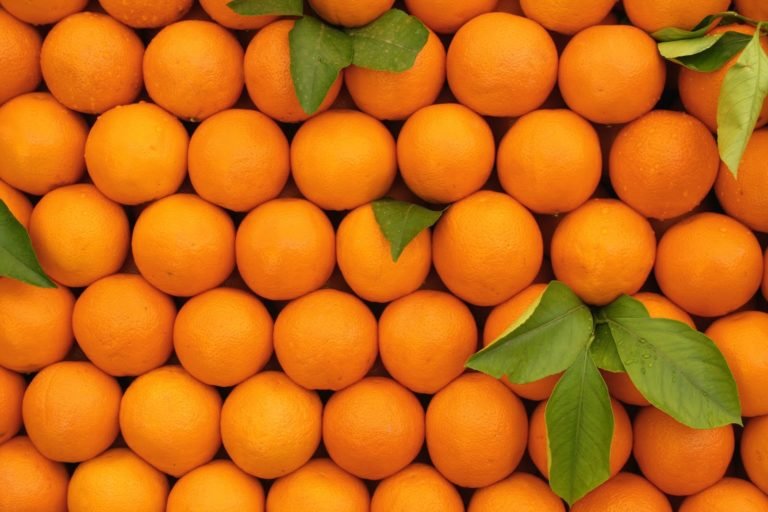 Oranges from Arunachal Pradesh launch in Dubai