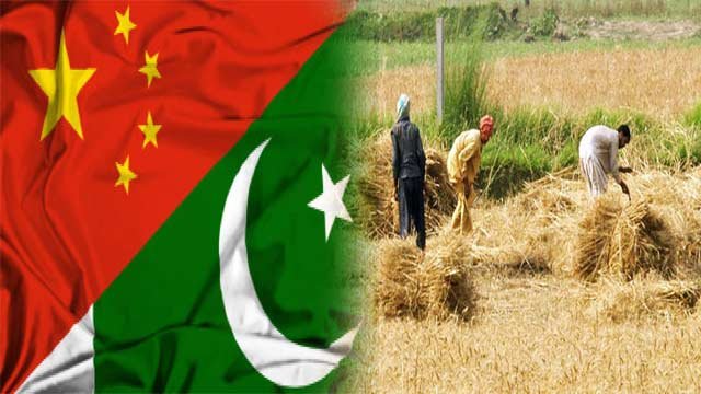 CPEC Green Corridor records remarkable agro growth