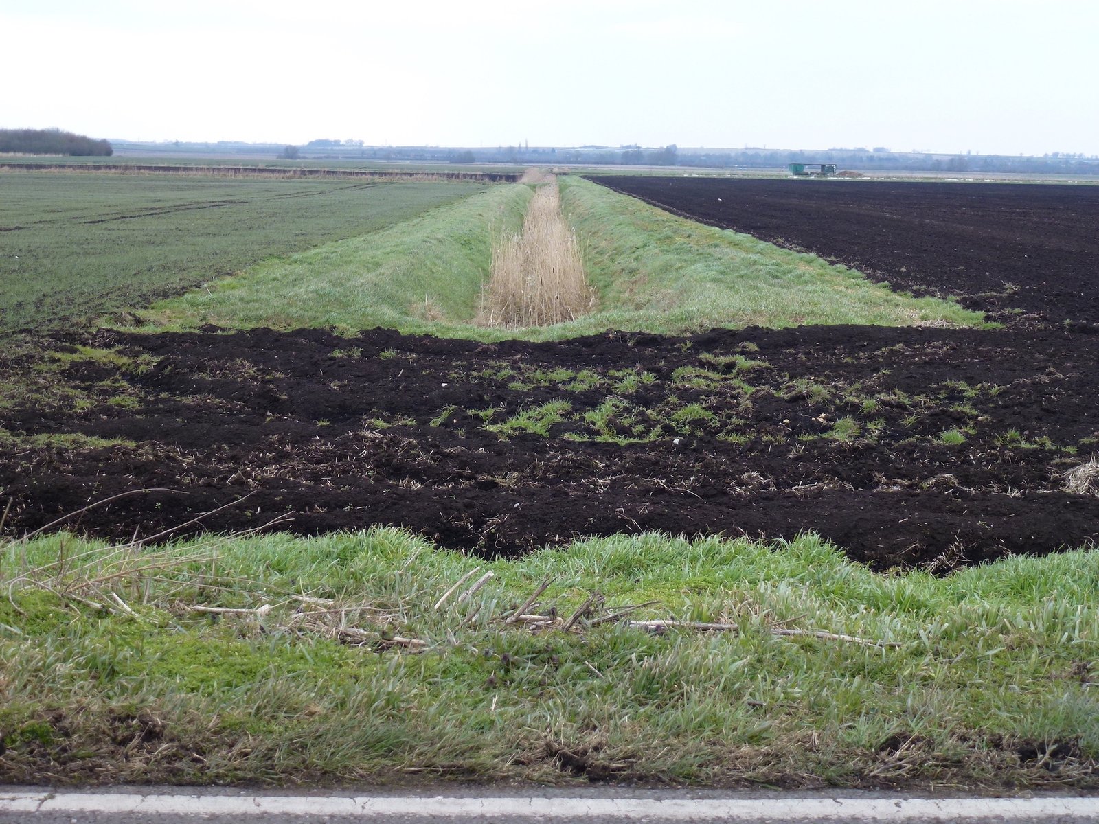 FAO publishes first global report on black soils