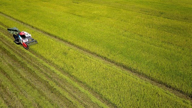 Vietnam to double the investment in Agri sector by 2030