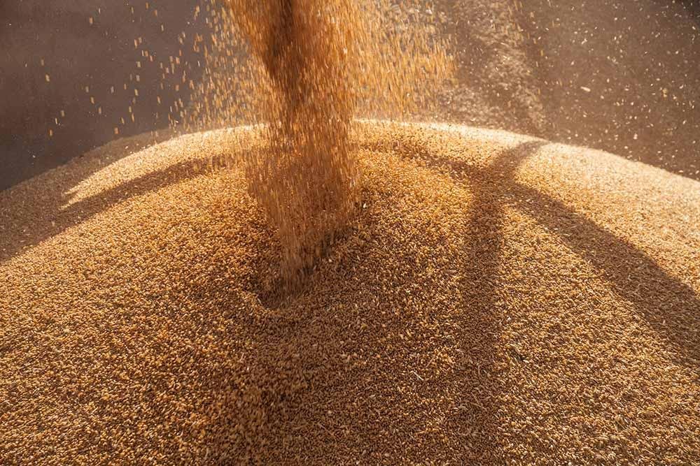 Australia's crop export to increase by $46.7 Bn in 2023