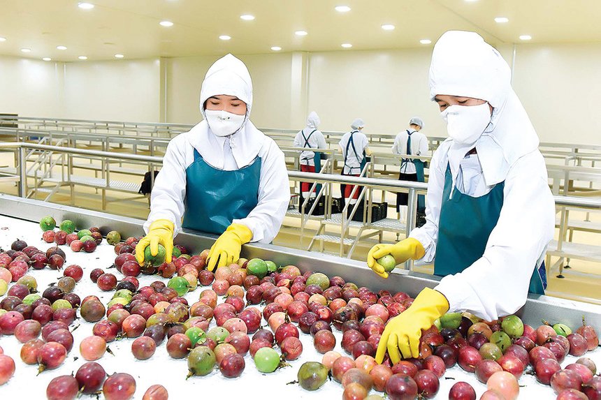 Vietnam’s fruit export tend to increase in December