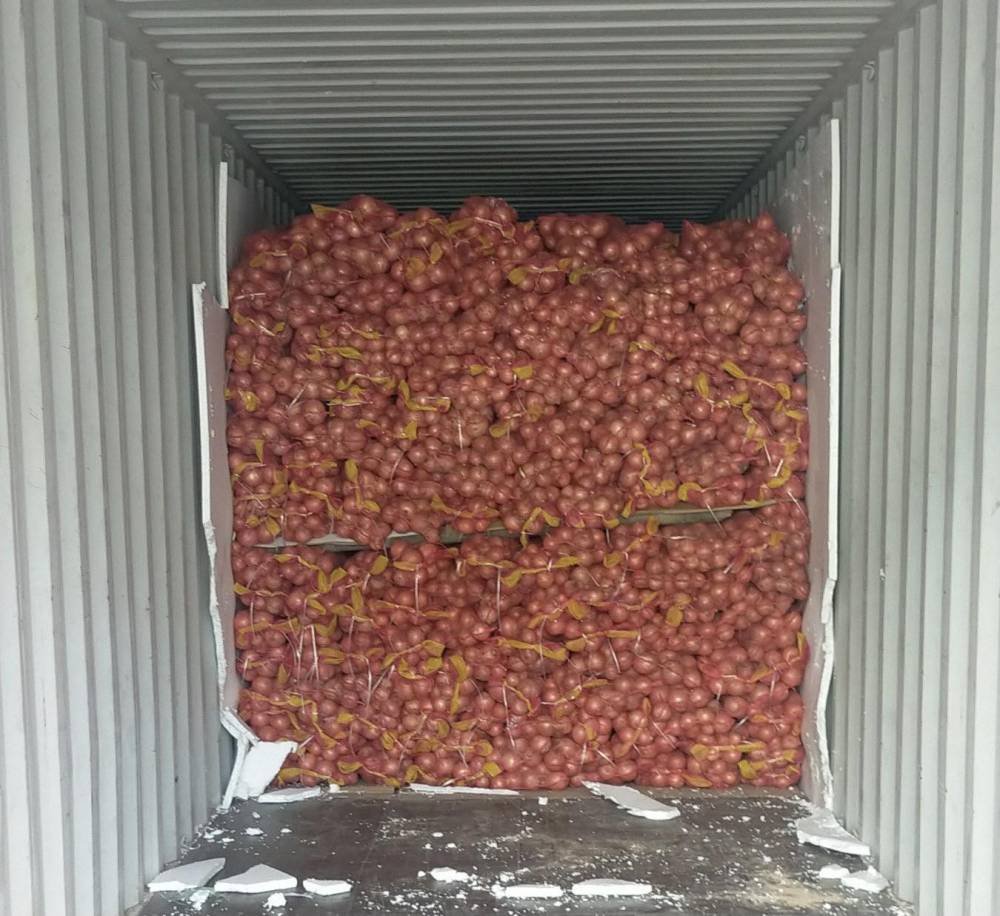 Philippines Customs sizes PHP17 Mn of onions from China