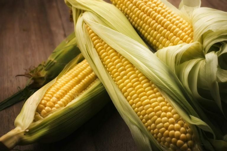 China imports 68,000 tonnes of corn from Brazil
