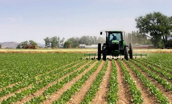 Malaysia and Iran to cooperate in the field of agri research