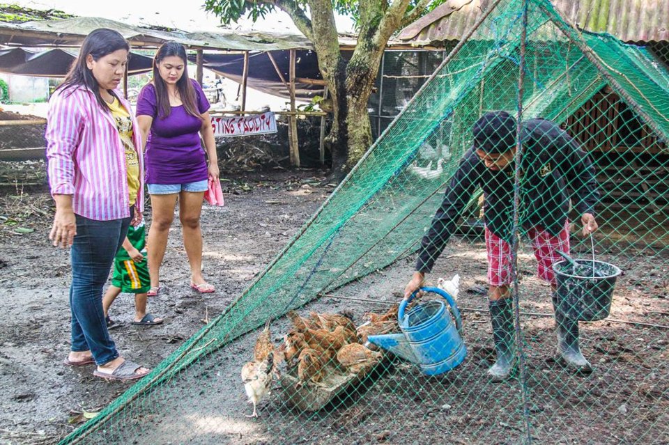 Philippines bans poultry imports from AI hit countries