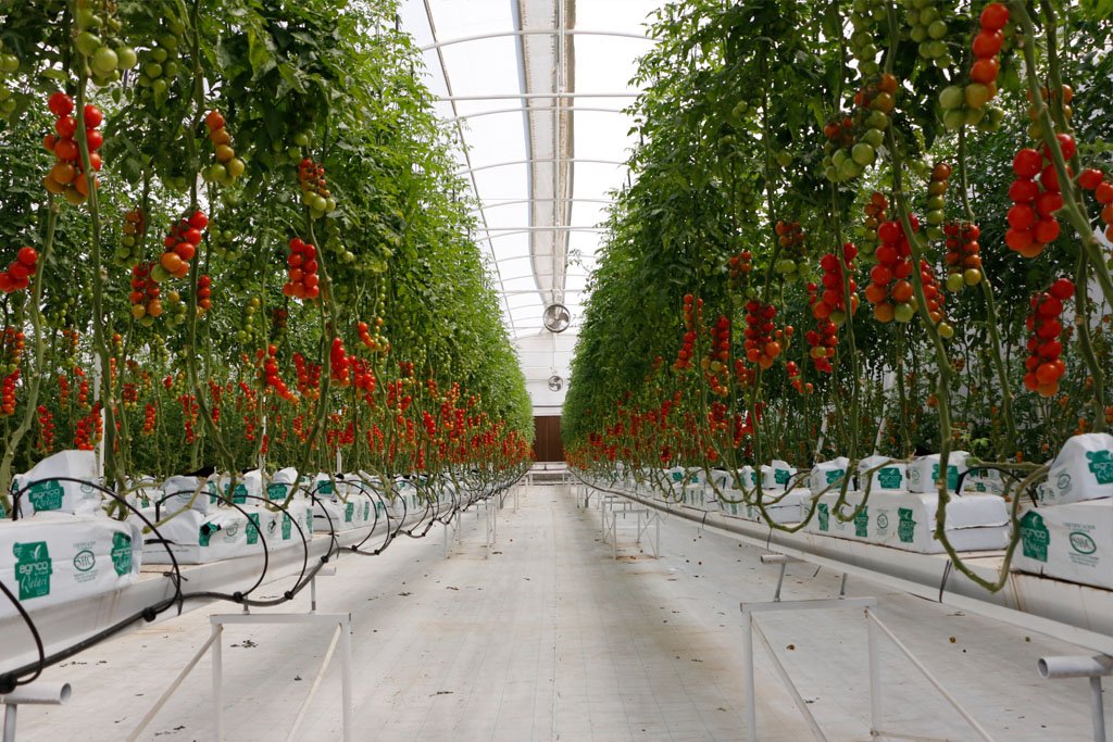 Agrico Qatar ready to invest in Malaysian agri sector