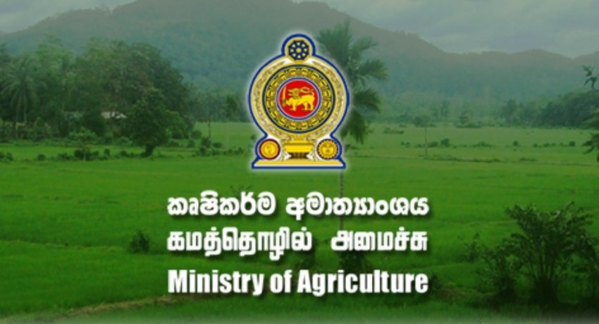 Sri Lanka’s National Agricultural Policy draft to present in Parliament