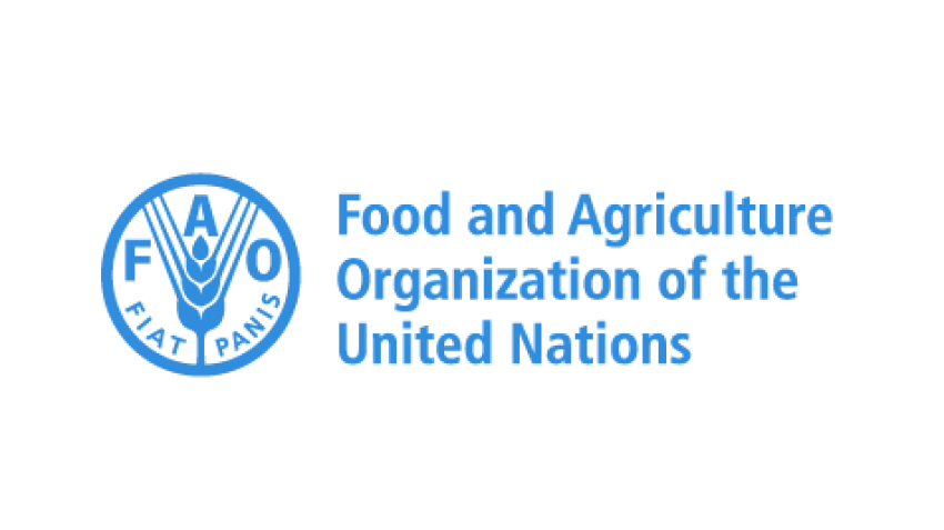 World food prices dip in December