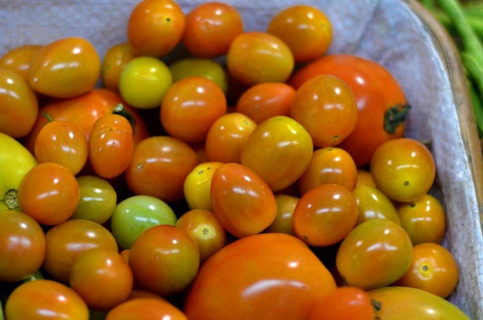 Philippines intensifies market linkages to prevent oversupply, wastage of agri products