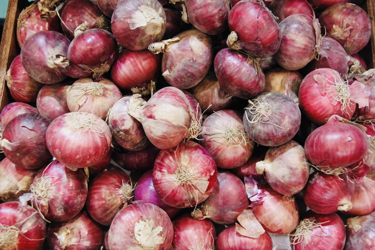 Philippines issues SRP of P125 per kg for imported red onion