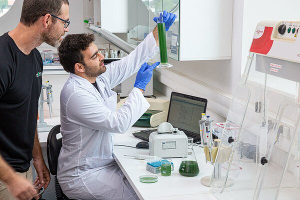 SimpliiGood, Haifa Group co-pioneer spirulina production