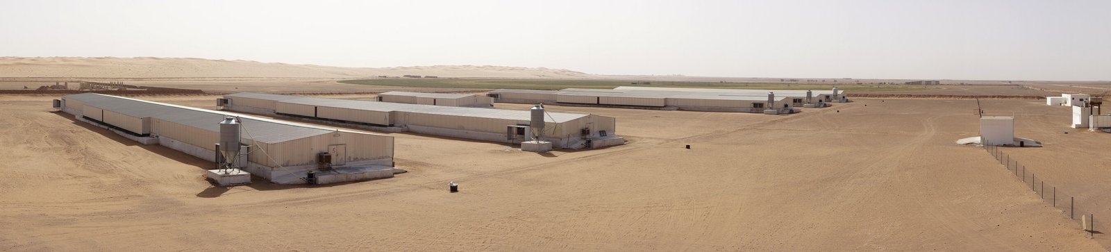 <strong>Tanmiah Food Company partners with MHP Group to boost Saudi poultry production </strong>