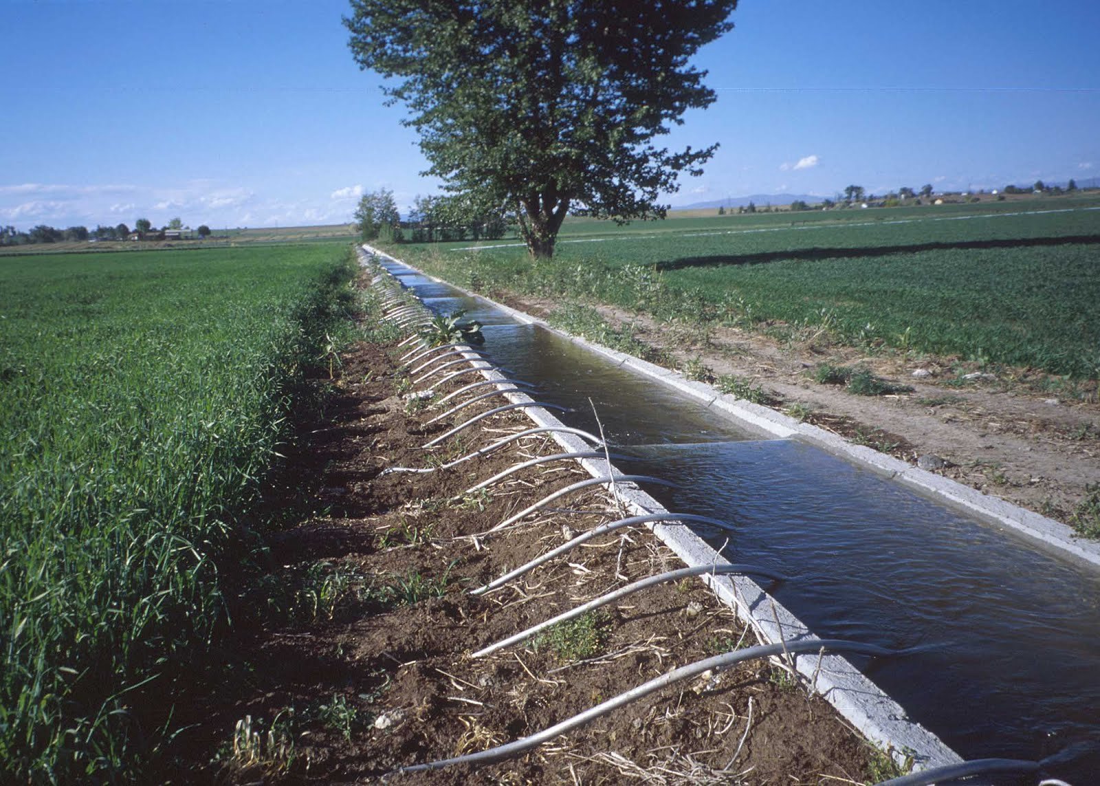 Egypt and Germany to cooperate in water sector