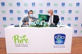 Nadec and Pure Harvest Smart Farms announce strategic partnership