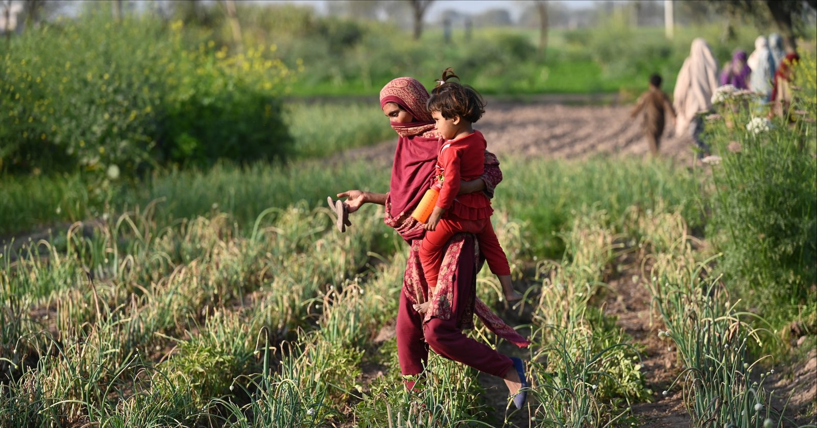 Putting people, the environment and disaster-risk screening at the centre of projects