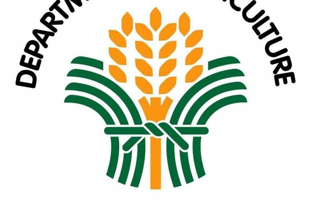 Philippines allots funds P538 million intervention to Caraga rice farmers