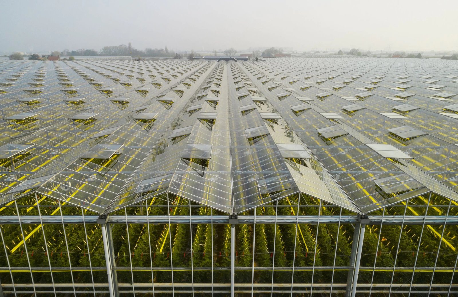 Source.ag empowers greenhouse farmers with next-gen AI farming tools