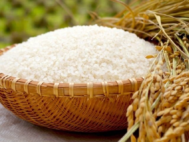 Cambodia offers cheaper rice to the Philippines
