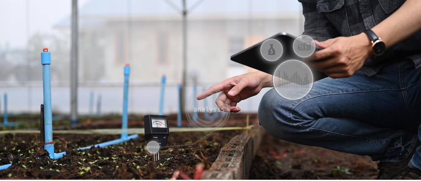 Singapore develops first nanotube sensors to detect and distinguish phytohormones