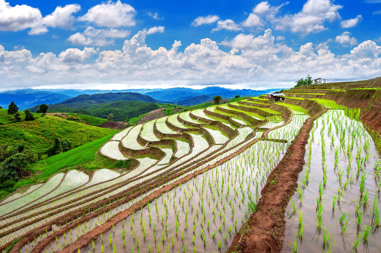 Philippine to construct farm-to-market roads (FMR) to support agrarian reforms