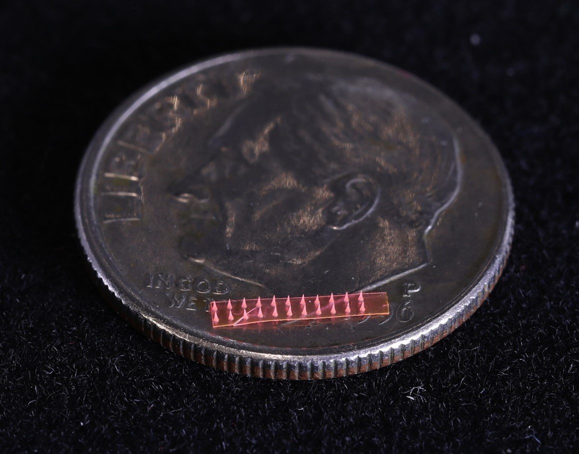 Singapore develop world's first microneedle-drug delivery system for plants