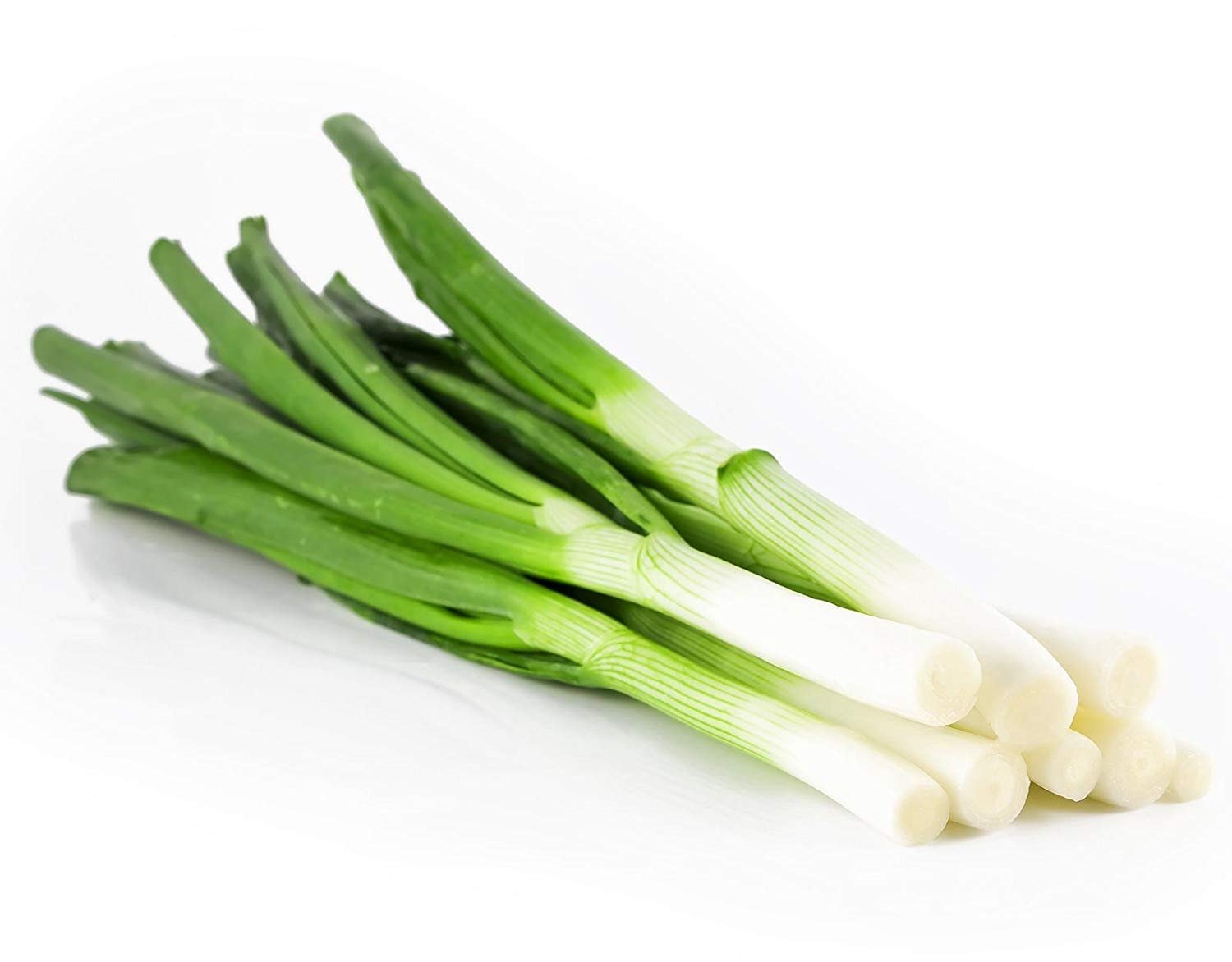 <strong>New Rijk Zwaan varieties create more choice in the leek market</strong>
