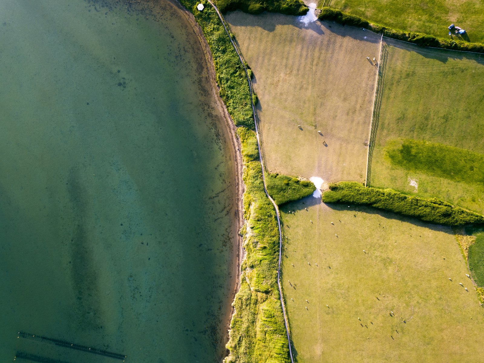 Australia to launch world-first satellite water monitoring system supporting aquaculture