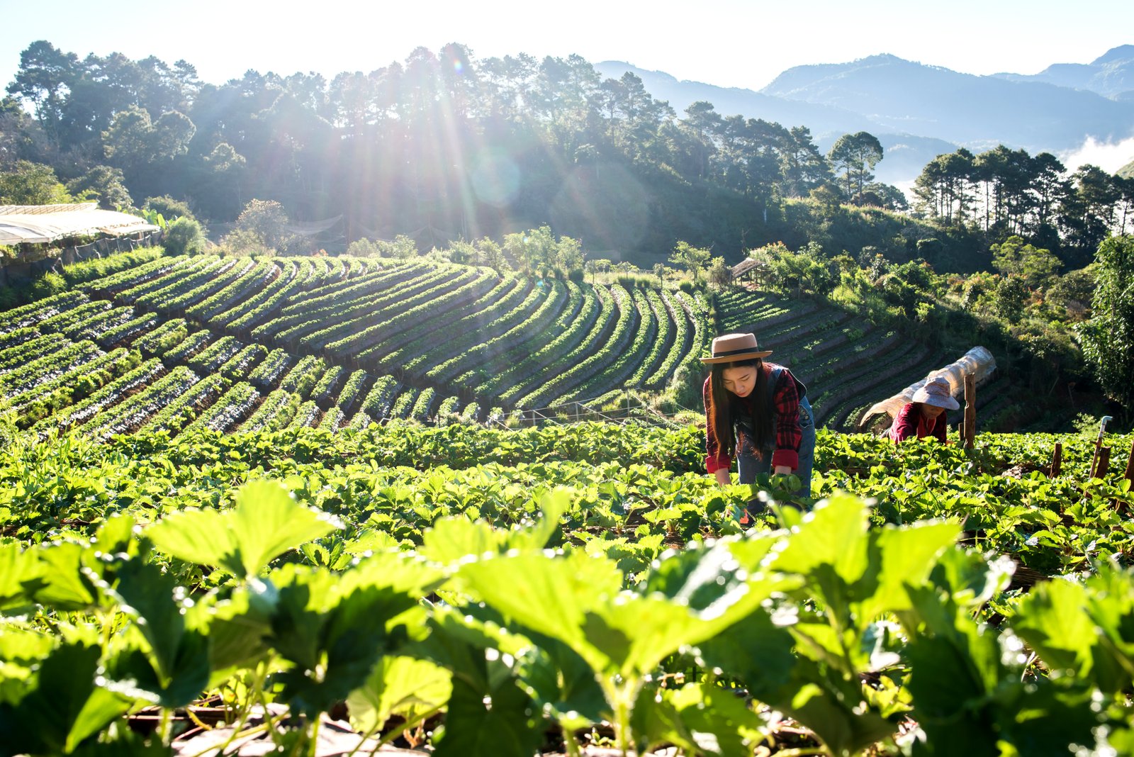 Green Climate Fund approves new projects worth $145.3 million for climate action