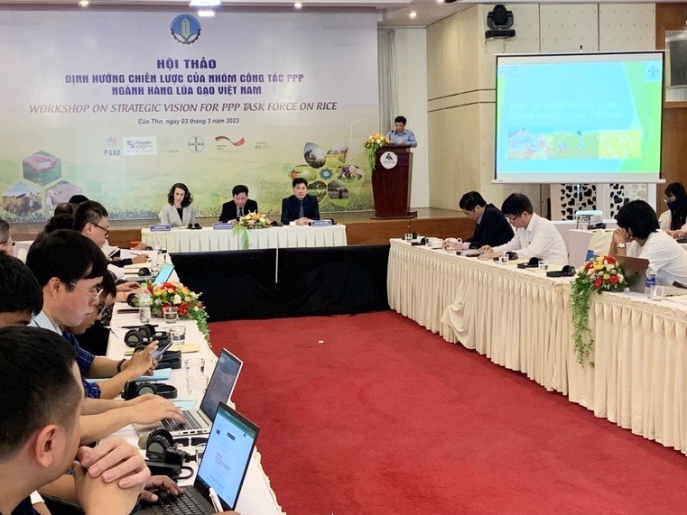 <strong>Vietnam strengthens public-private partnership in rice sector development</strong>