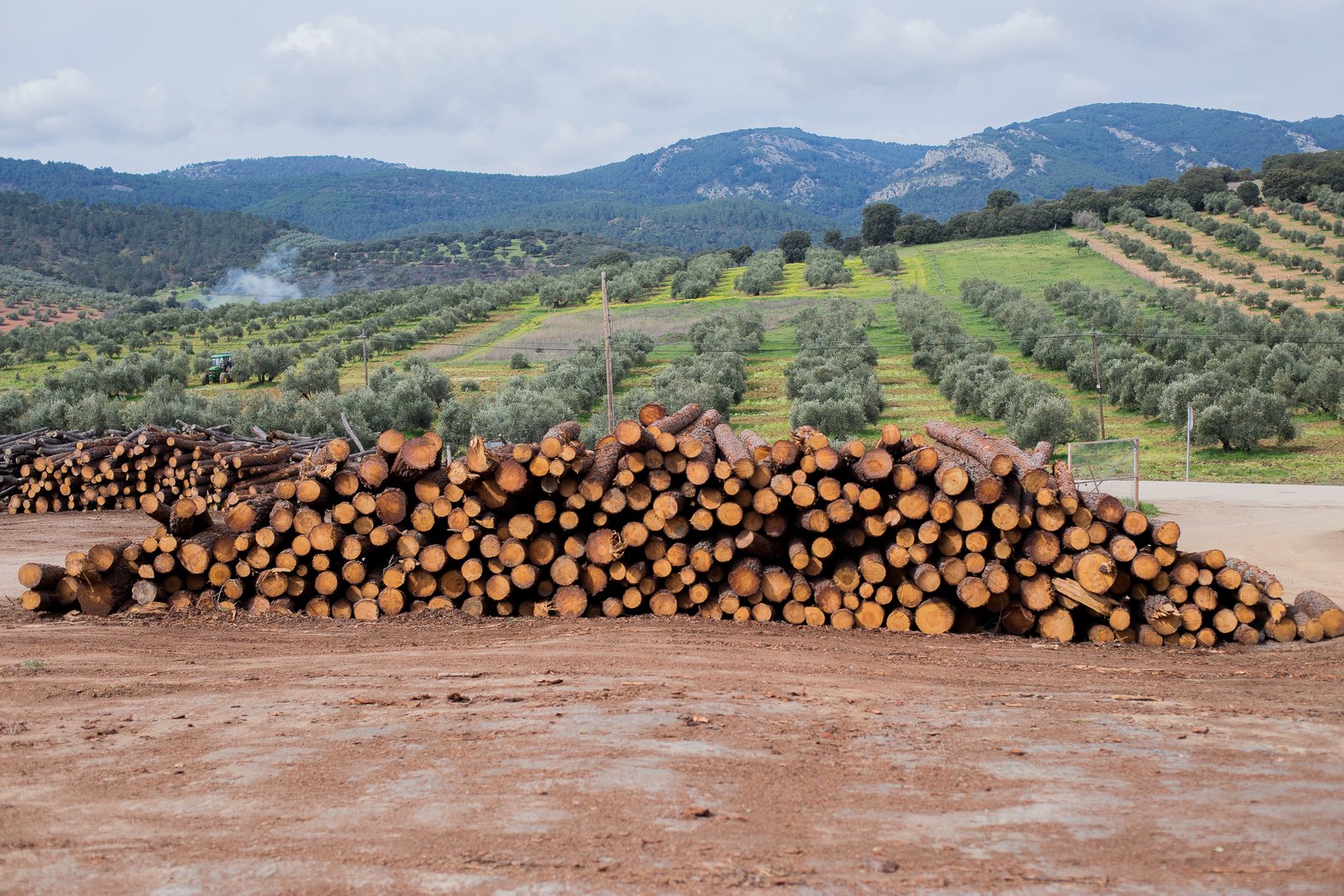 Malaysia licenses Hong Kong Agroforestry Group permitting timber export activities