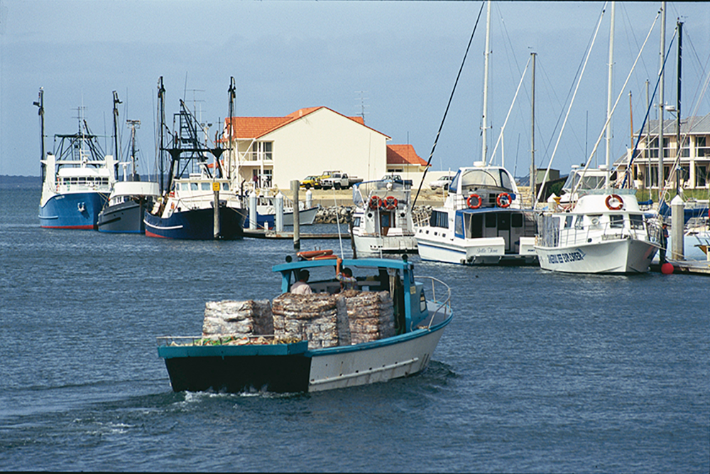 <strong>Australia’s aquaculture lifts seafood value to $3.63 billion in 2022–23</strong>