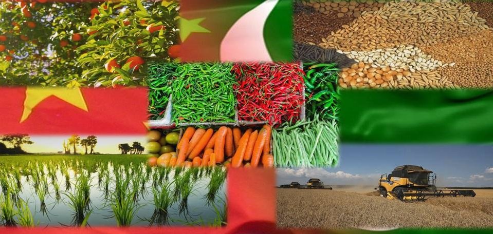 CEPC Green Corridor focuses on agricultural environment and food security
